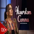 Zenfira İbrahimova - Həsrətəm Canına