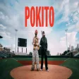 Daddy Yankee and Diljit Dosanjh - POKITO