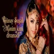 Gunay Şuşalı - Mənim kimi divanədi