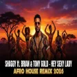Shaggy - Hey Sexy Lady (Afro House Remix ) ft. Brian & Tony Gold