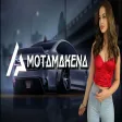 Elsen Pro - Motamakena