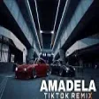 Elsen Pro - Amadela (TIKTOK REMIX)
