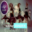 Yalçın Polat - Aramadın mı