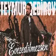 Teymur Qedirov - Evezedilmezsen mp3 yukle