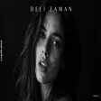 Deli Zaman Anatolian LapMusica
