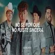 Moy Bobadilla, Grupo Firme, Max Peraza - Tus Mentiras