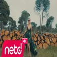 Yasmin - Şal