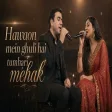 Rauf Tagiyev & AI - Hawaon mein ghuli hai tumhari mehak (Etrin Duyulur Havada) Hind version