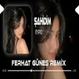 Gömdüler Diri Diri ( Ferhat Güneş Remix EYPİO - Hepside Zalimler