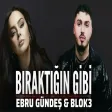 Ebru Gündeş & Blok3 - Bıraktığın Gibi Burdayım (AI)