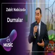 Zabit Nəbizadə - Durnalar