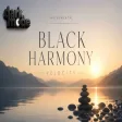 Black Harmony Velocity