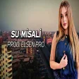 Elsen Pro - Su Misali