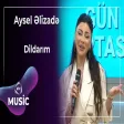 Aysel Əlizadə - Dildarım