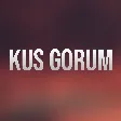Habil Memmedov Sagirdleri - Indi Menden Kus Gorum Remix mp3 yukle