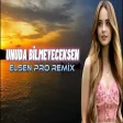 Elsen Pro - Unuda Bilmiyeceksen