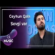 Ceyhun Qala - Sevgi var