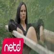 Senay Lambaoğlu - Halim Ortada