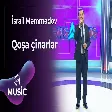 Israil Məmmədov - Qoşa çinarlar