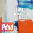 Tansel - Dursun Dünya Bu Gece (Official Audio)