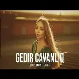 Ferid Sumqayit - Gedir Cavanliq (Cover)