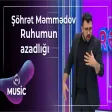 Şöhrət Məmmədov - Ruhumun azadlığı