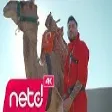 Cioman - Yandı Gönül