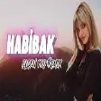 Arabic Remix - Habibak (Elsen Pro Remix)
