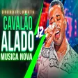TOQUE DEZ - CAVALO ALADO (MEU CHAPÉU DE COURO VALE OURO) MILSINHO MUSICA - NOVA TOQUE DEZ