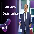 Elşad Qarayev - Deyin hardadır