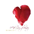 Mustafa Ceceli - Aşk İçin Gelmişiz