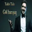 Talıb Tale - Gəl Barışaq