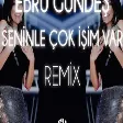 Ebru Gündeş - Seninle Çok İşim Var ( Fatih Yılmaz Remix )