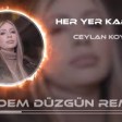 Ceylan Koynat - Her Yer Karanlık (Erdem Düzgün Remix)