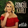 Songül Karlı - Ellik
