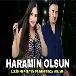 Sadiq Hemzeyev & Mehriban Aslan - Haram Olsun