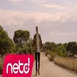 Vezir - İfşa