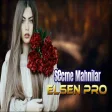 Elsen Pro Seçme Mahnılar