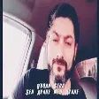 Vuqar Seda - Sen avare men avare
