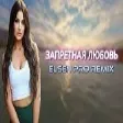 Elsen Pro - Запретная Любовь ( Tiktok Remix )
