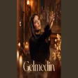 Gelmedin