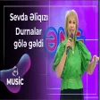 Sevda Əliqızı - Durnalar gölə gəldi