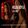 No No Noldu Böyle ( Mustafa Atarer Remix ) Asil Gök - Noldu Böyle