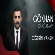 Gökhan Doğanay - Ciğerin Yansın