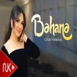 Gülzar Fərəcova - Bəhanə