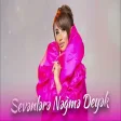 Elnarə Abdullayeva - Sevənlərə Nəğmə Deyək