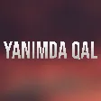 Cavidan Novruz - Yanimda Qal mp3 yukle