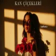 Kan Çiçekleri | Anatolian LapMusica