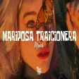 Maná - Mariposa Traicionera