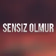 Aygul Seferova - Sensiz Olmur mp3 yukle